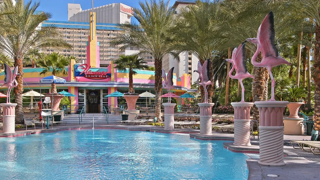 Pool at Flamingo Las Vegas