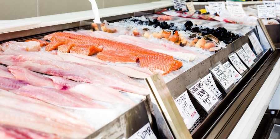 Easy Ice best practices for safe grocery store ice machines. Explore Ice Machine Rentals food safety guide.
