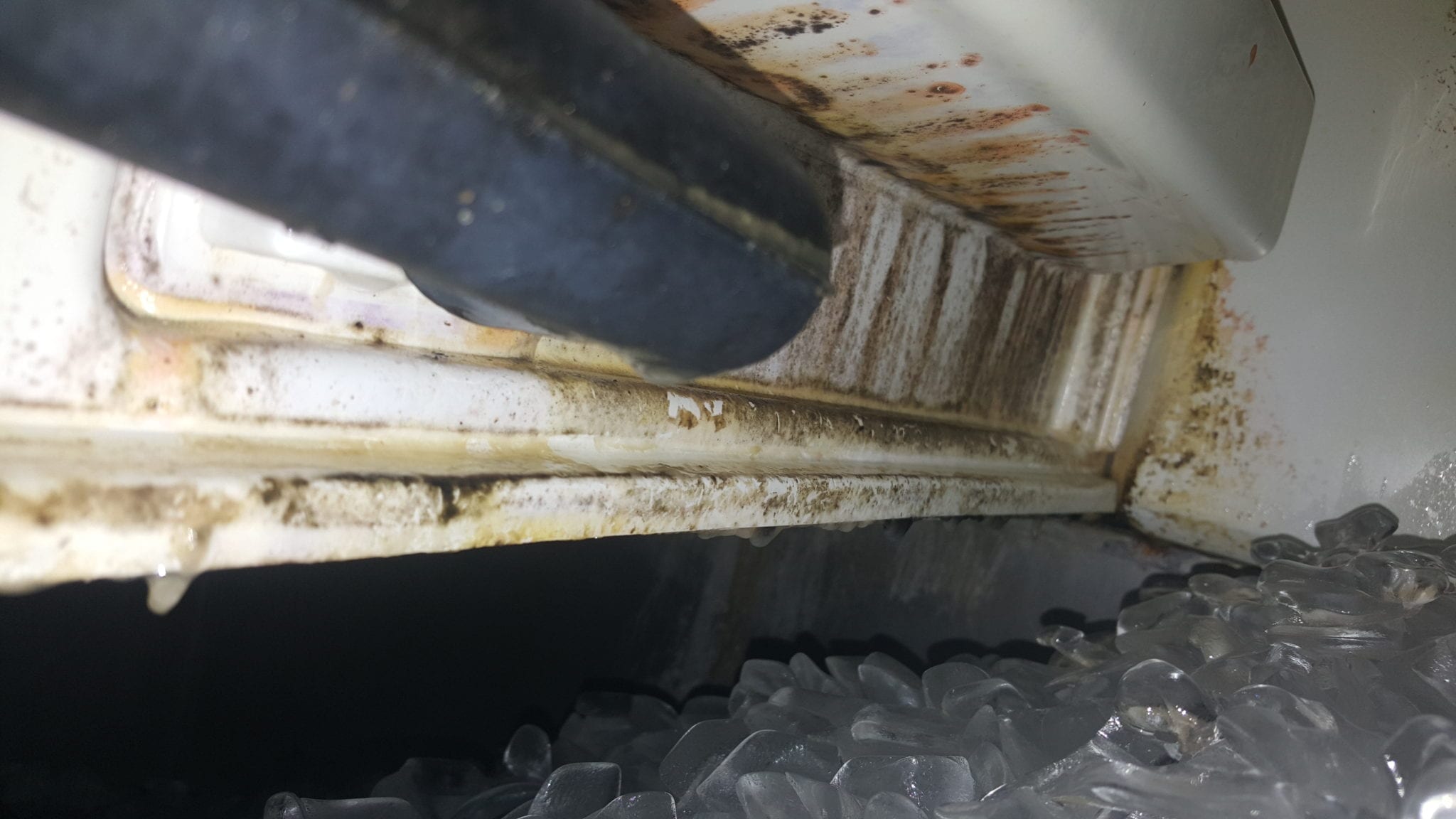 Easy Ice article on how ice machine sanitizer prevents hospital-acquired infections — Easy Ice healthcare ice machine.