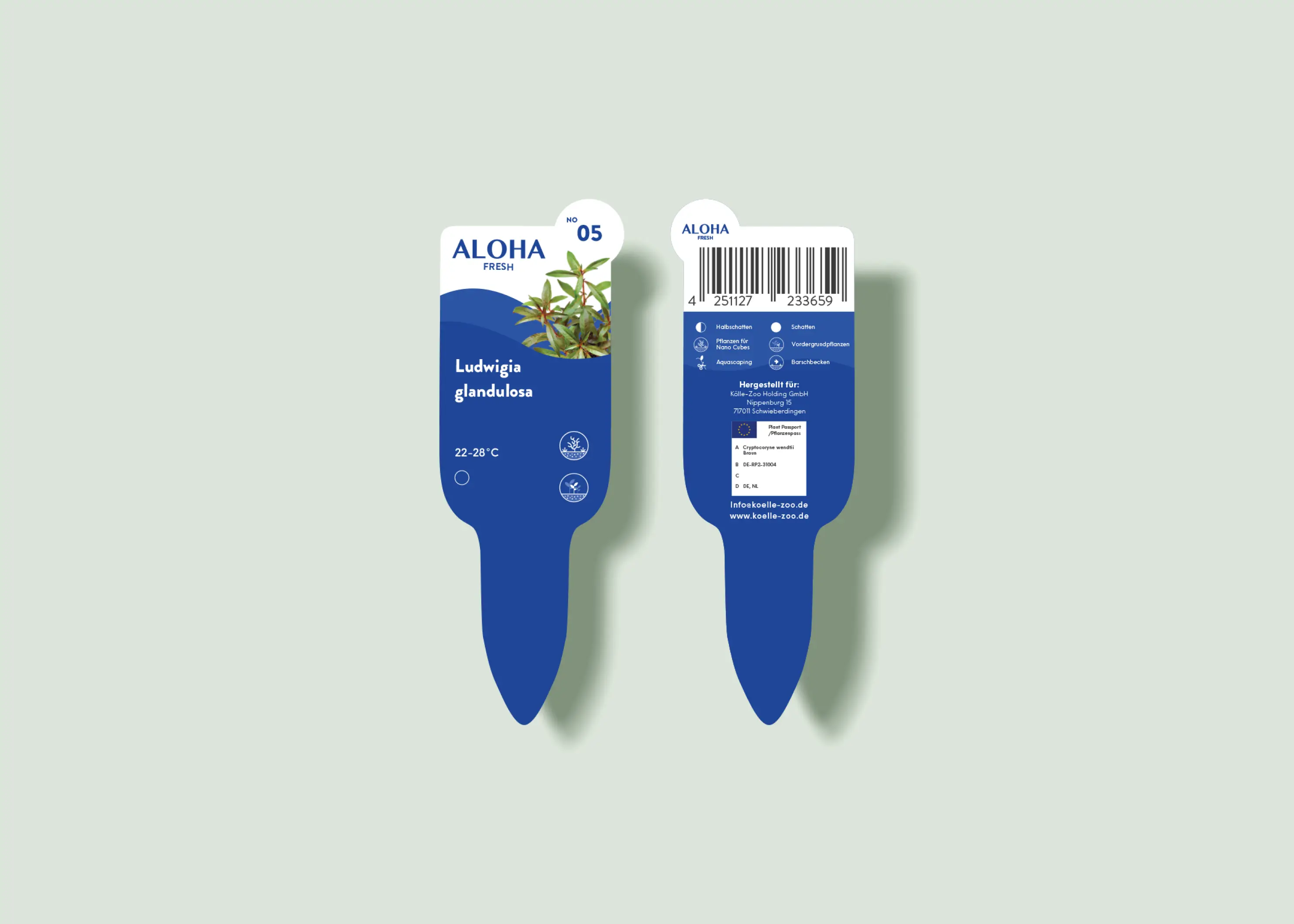 Front and back of blue plant label for Ludwigia glandulosa with care info and barcode.