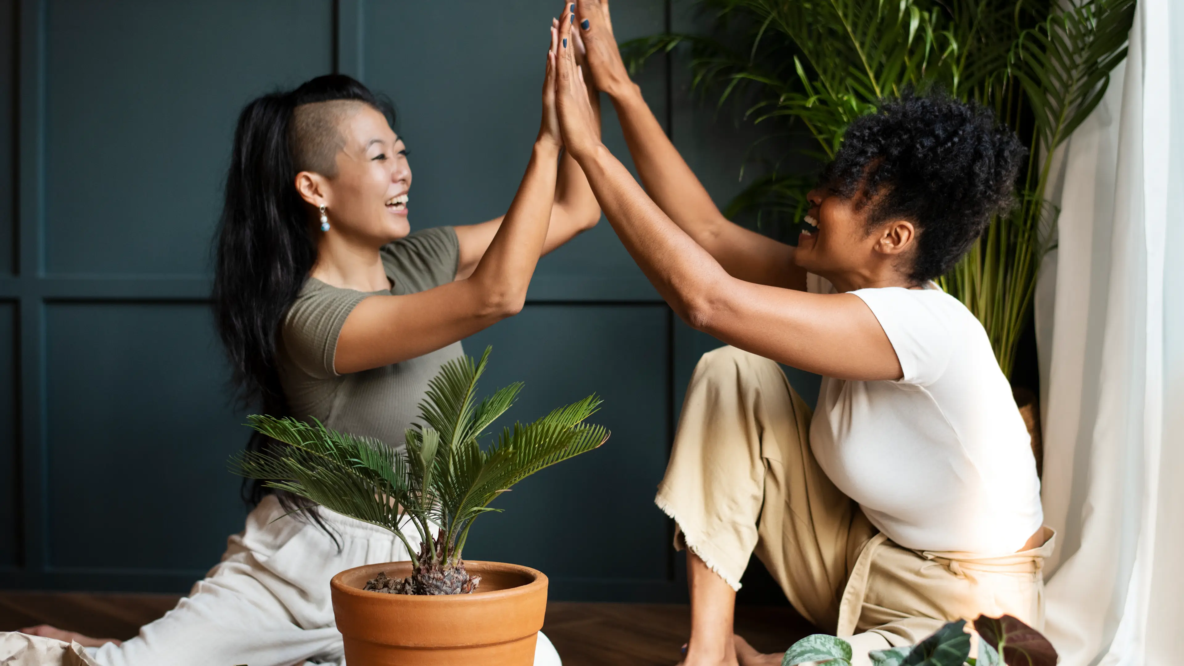 Conflict Resolution Coaching Course