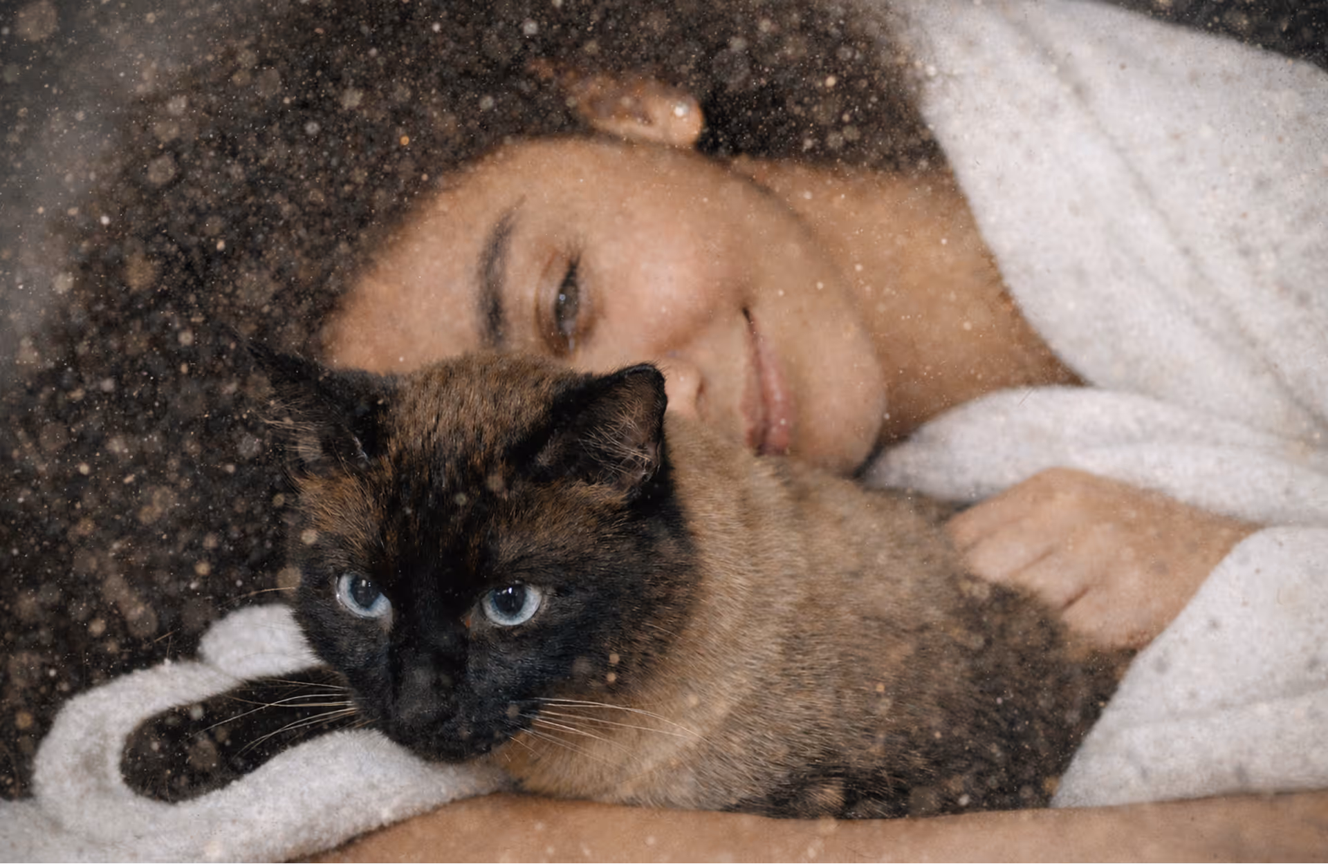 Mulher de pele morena clara e cabelos cacheados repousa sorridente enquanto abraça um gato siamês de olhos azuis, ambos vistos por vidro com gotas de água.