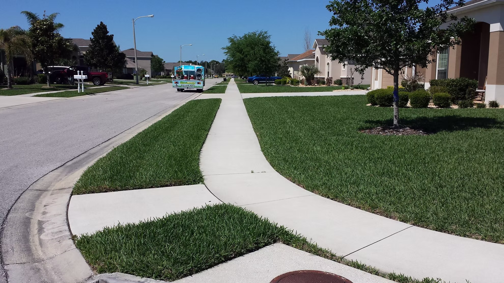 Florida lawn with clean edges maintained by Grass Monkey lawn care
