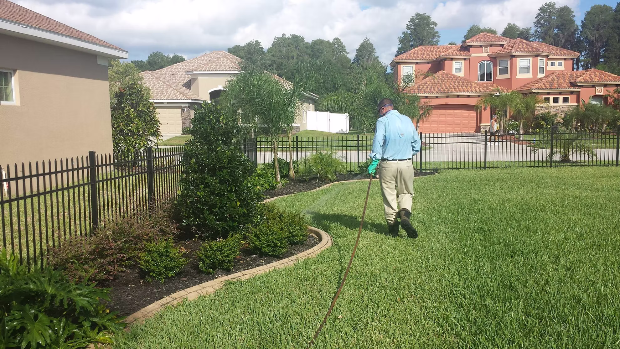Lush green front yard after Grass Monkey weed control treatment