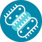 icon — Connective Tissue Diseases