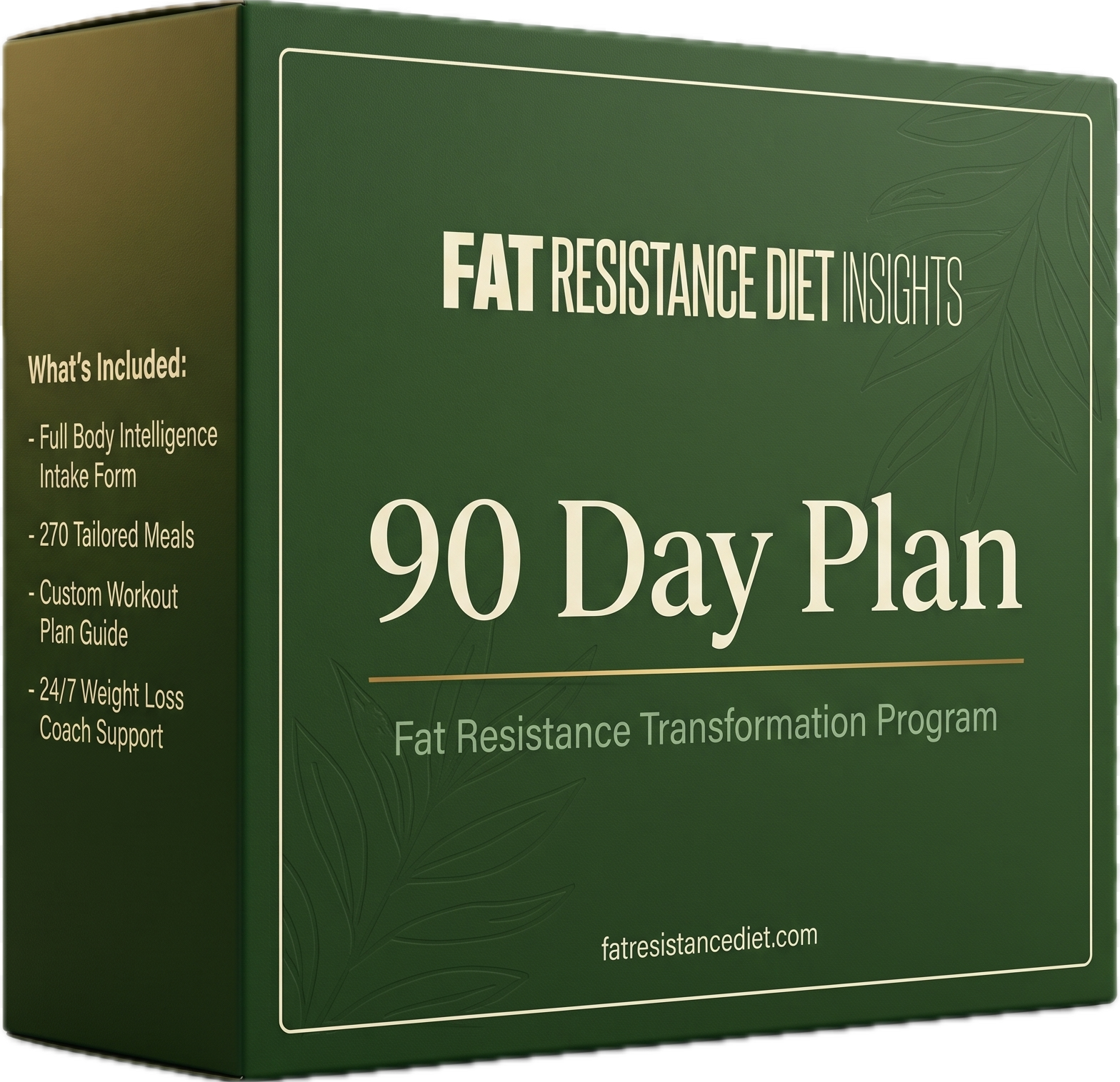1 Year Plan