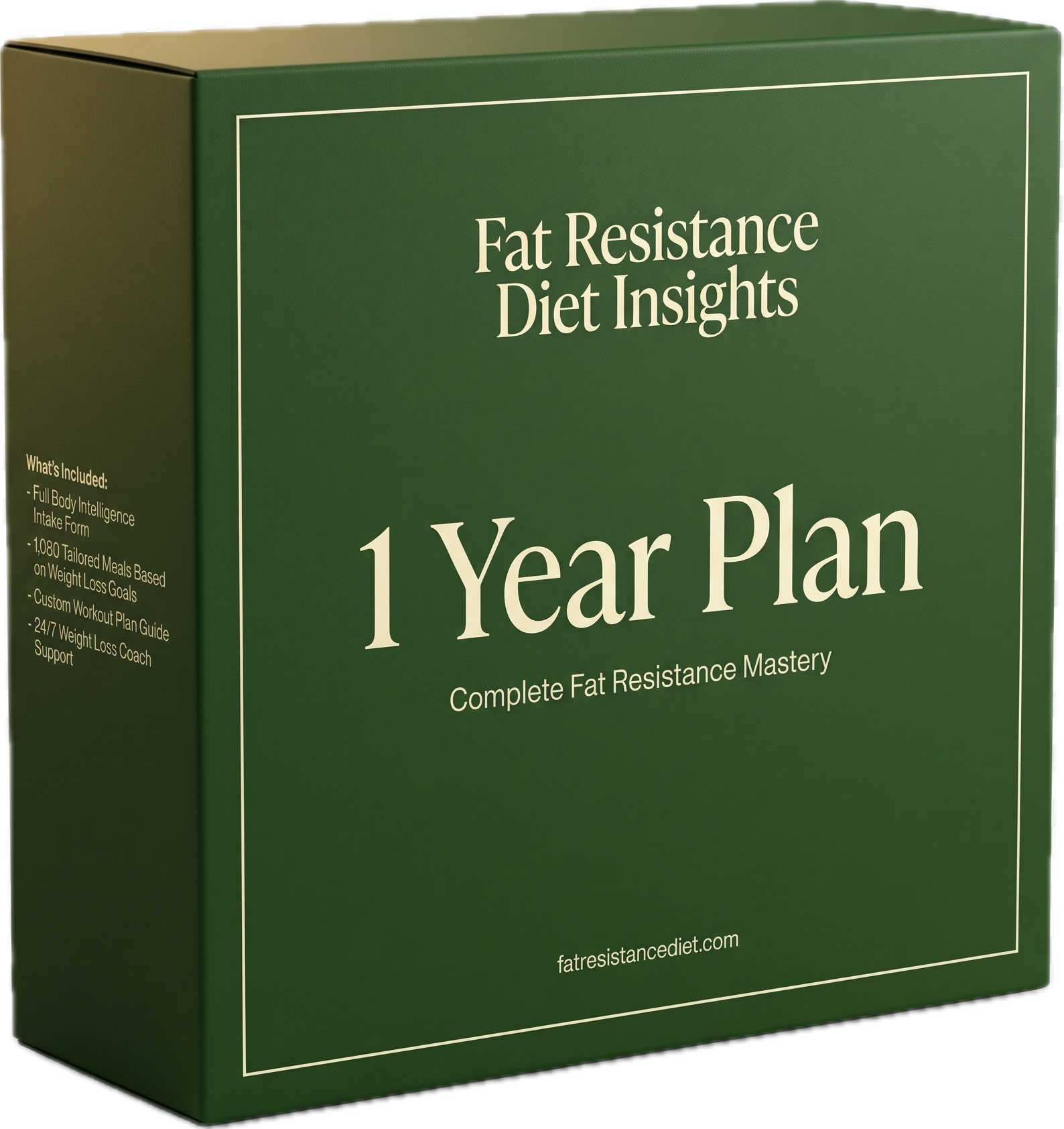 90 Day Plan