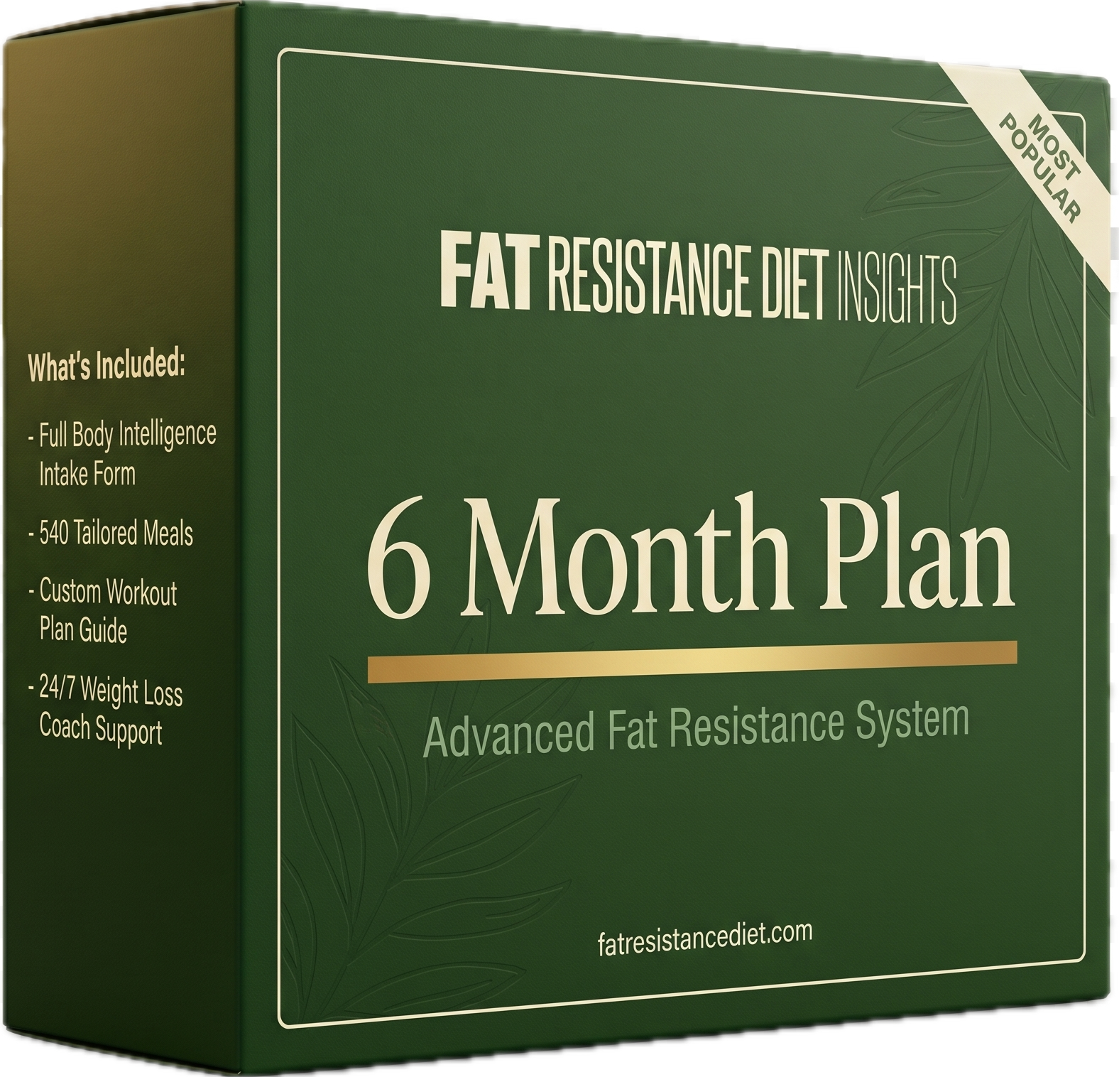 6 Month Plan