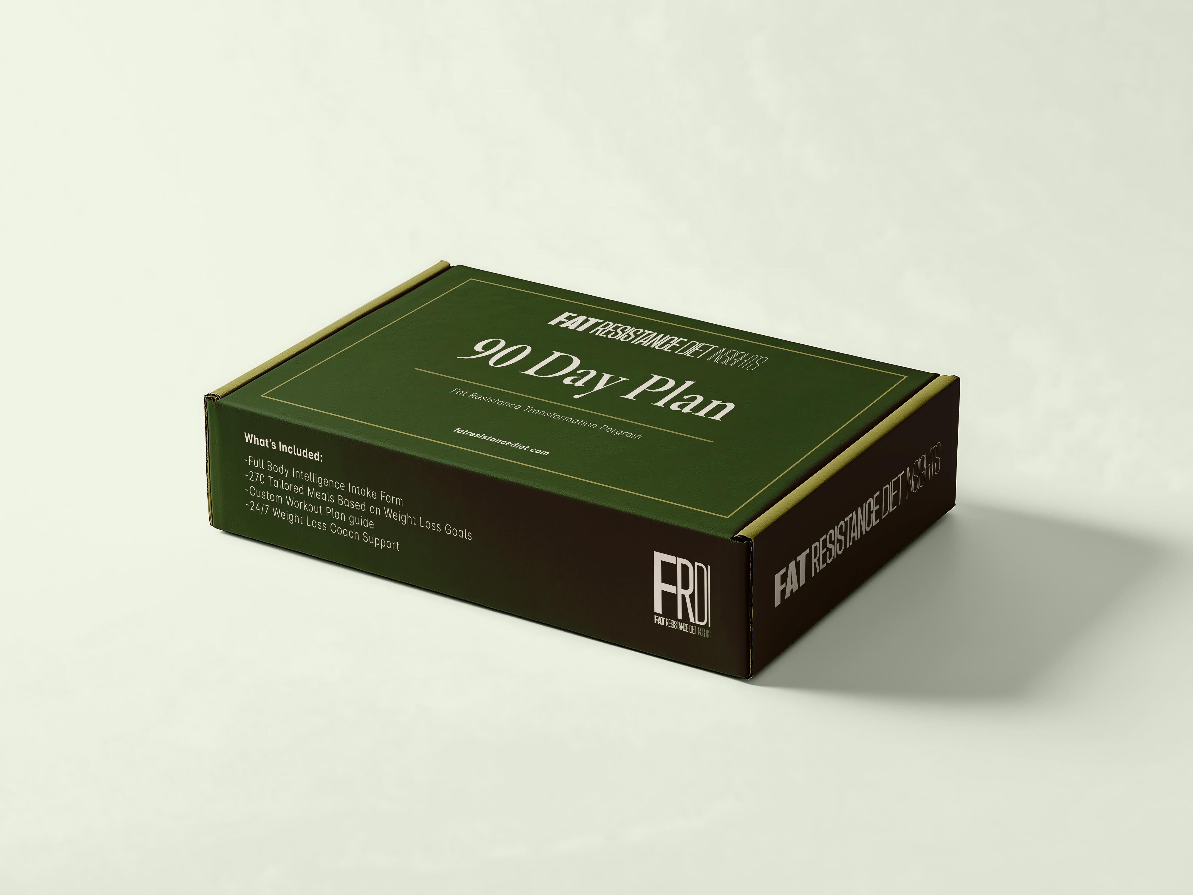 90 Day Plan