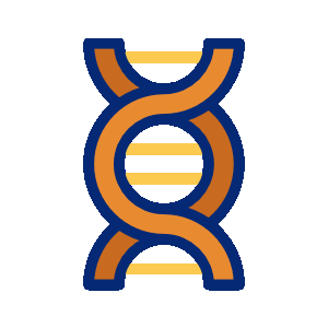 Icône stylisée d'une double hélice d'ADN orange avec contour bleu.