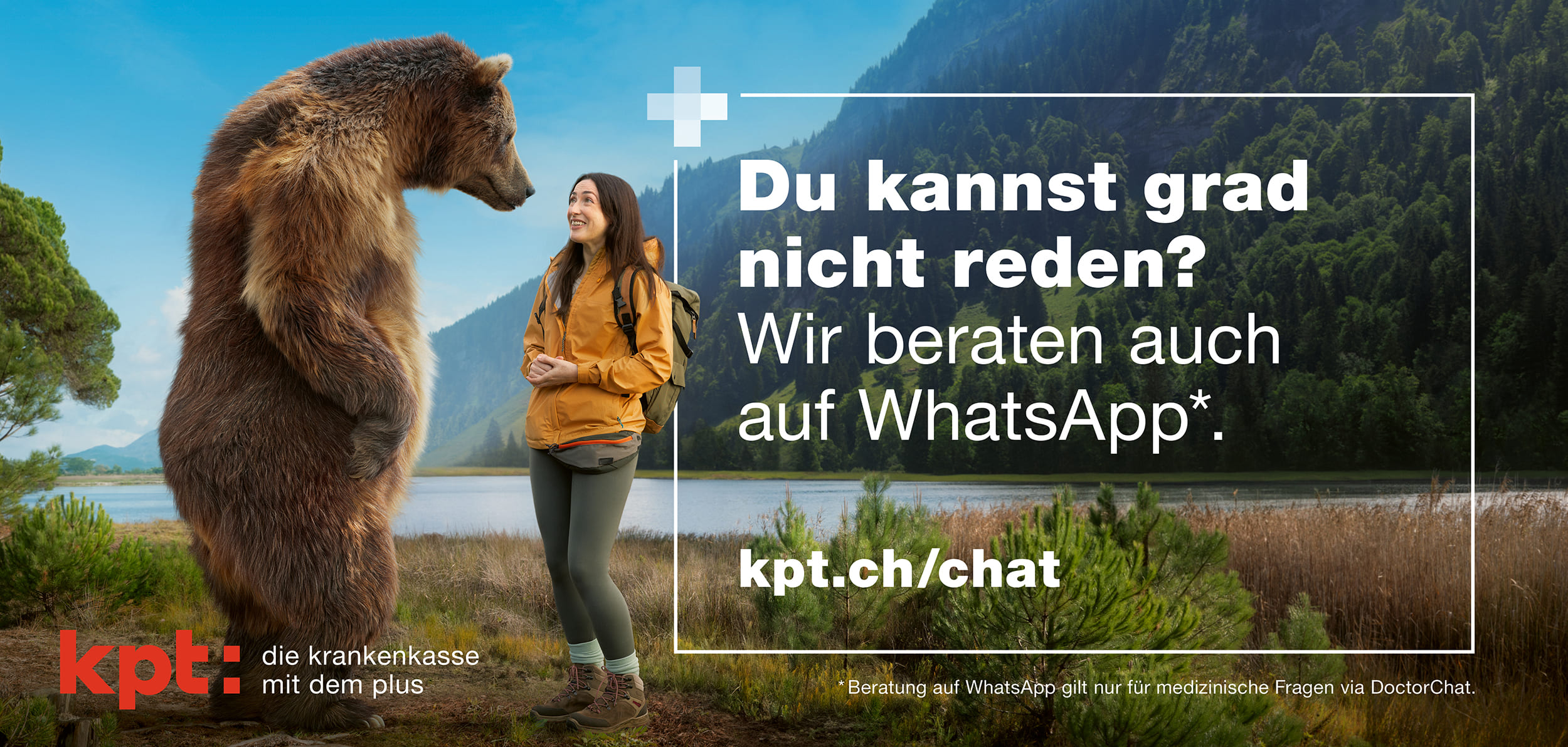 KPT Sujet «Du kannst grad nicht reden? Wir beraten auch auf WhatsApp.» mit einem Bären