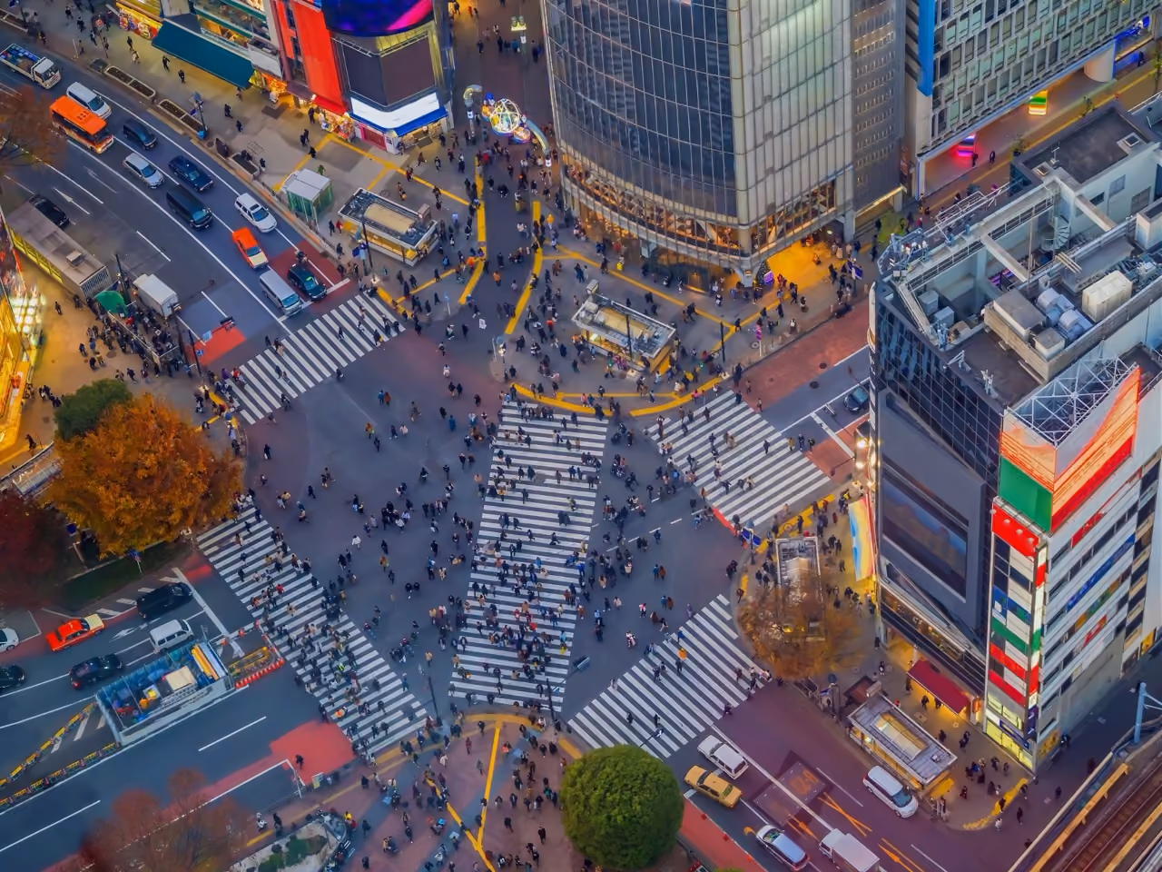 Aerial view of Shibuya Crossing at night, Moveolux luxury chauffeur service in Tokyo