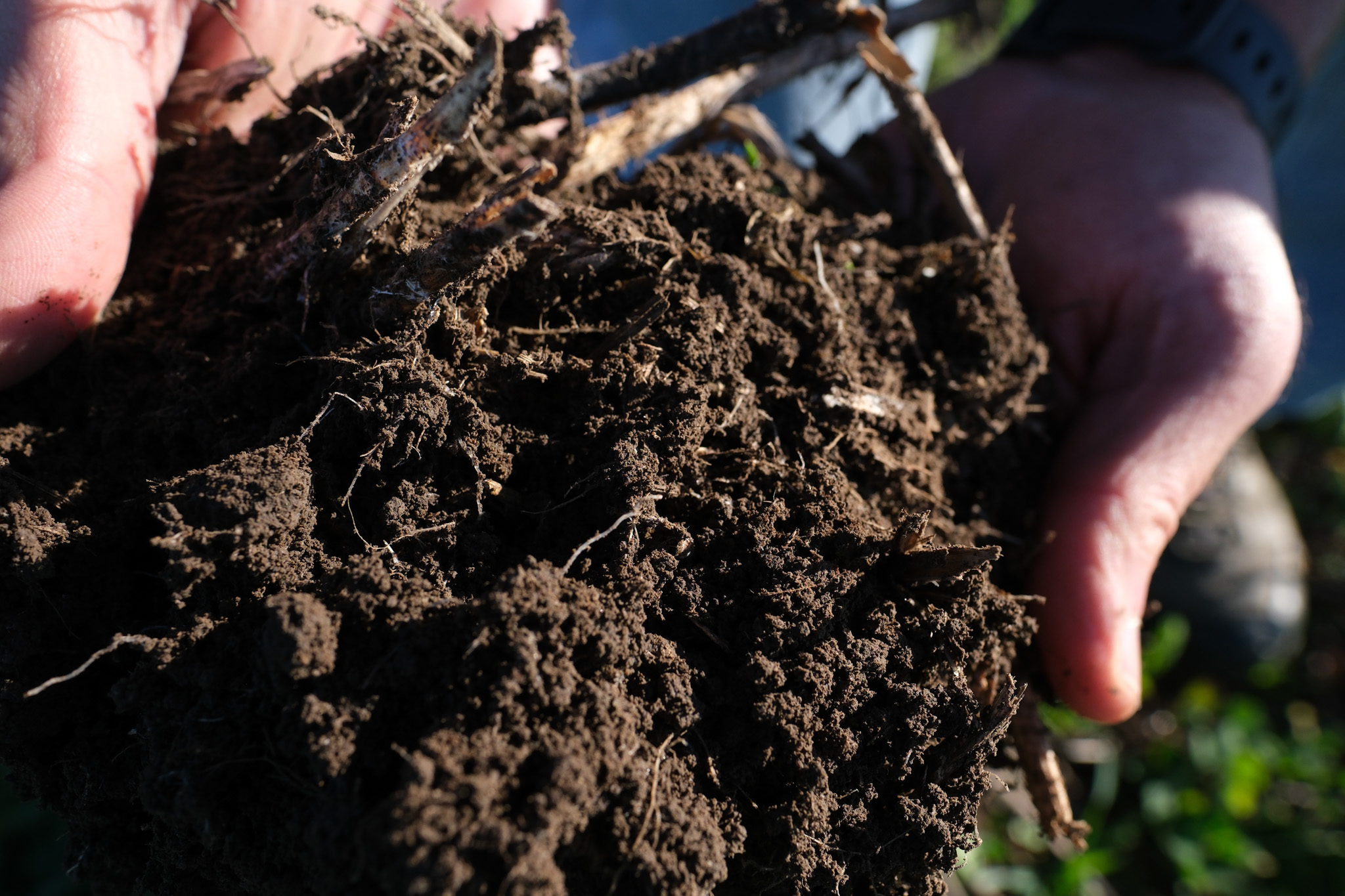 image of crop yield research