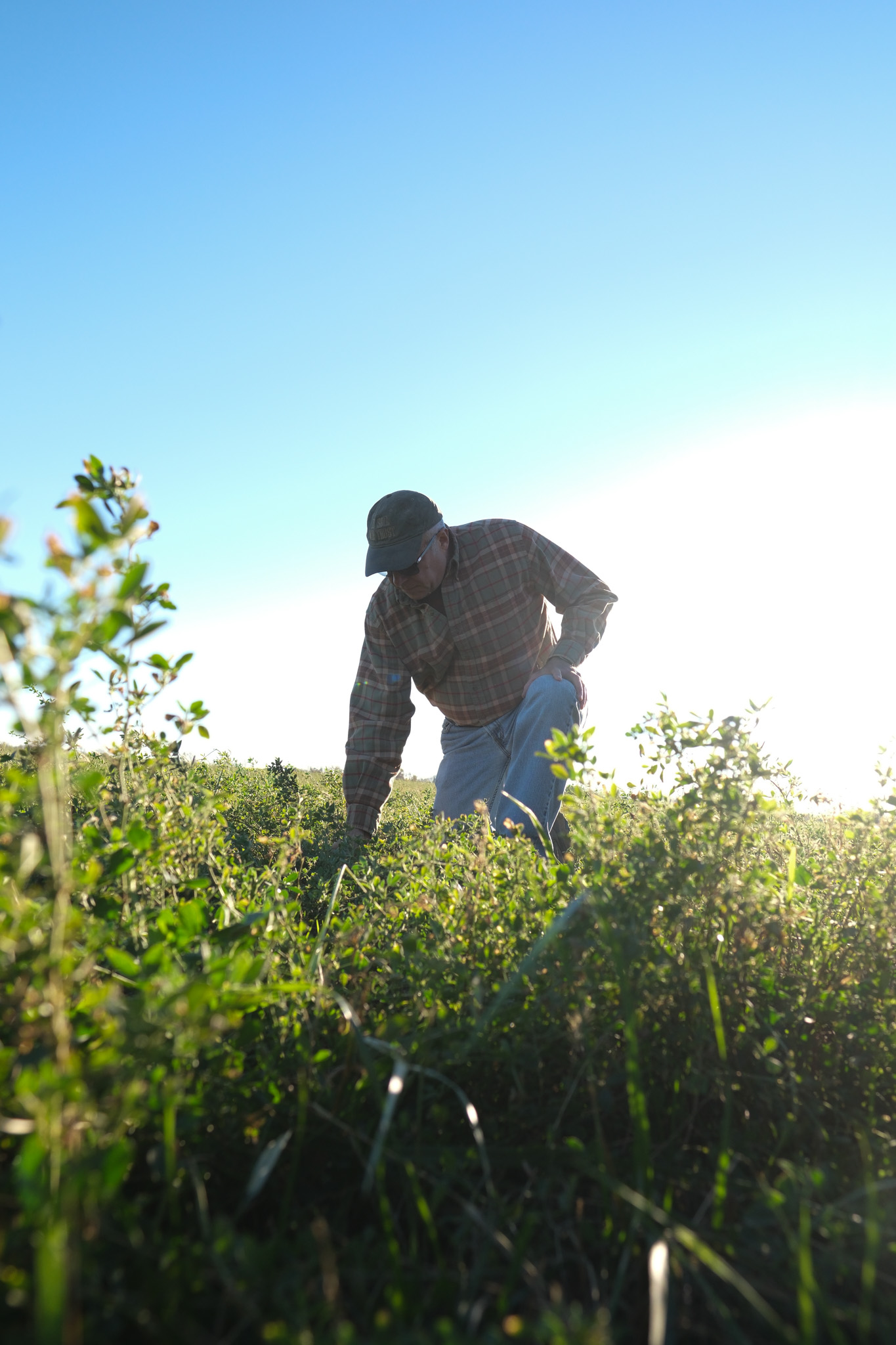 image of educational workshops in progress