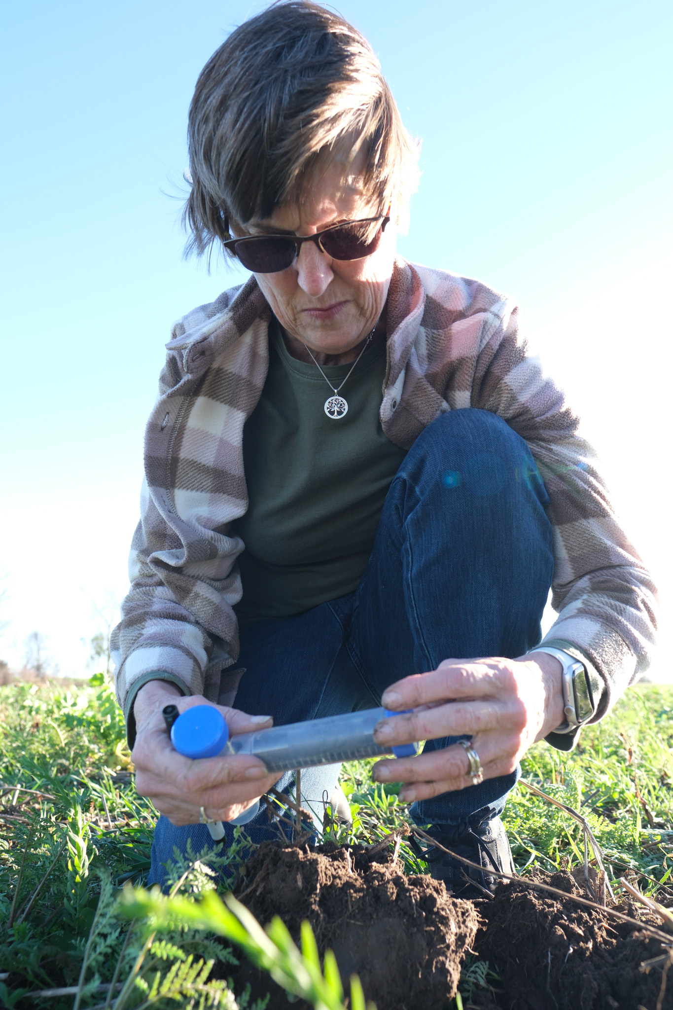 image of vehicle diagnostic tools (for an automotive service)