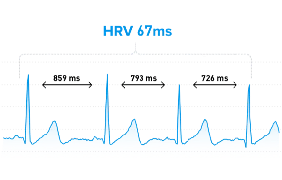 https://www.whoop.com/thelocker/heart-rate-variability-hrv/