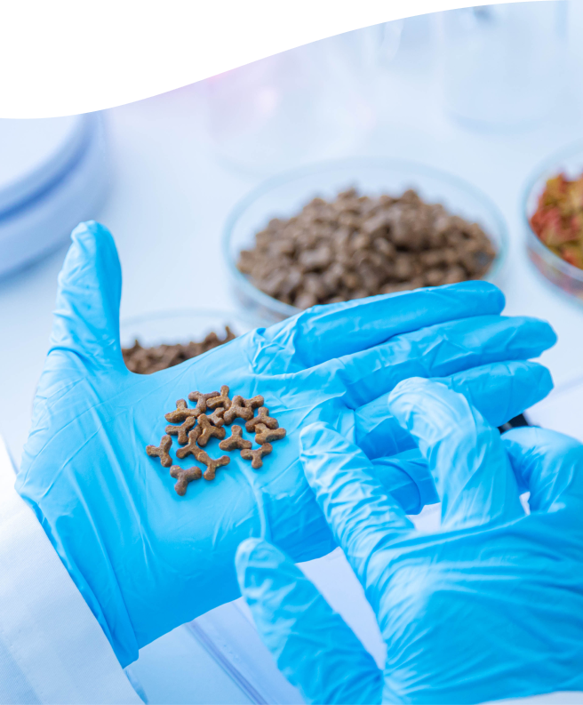 A lab worker with blue gloves holding on their gloves pet food with multiple types of pet food available in the background