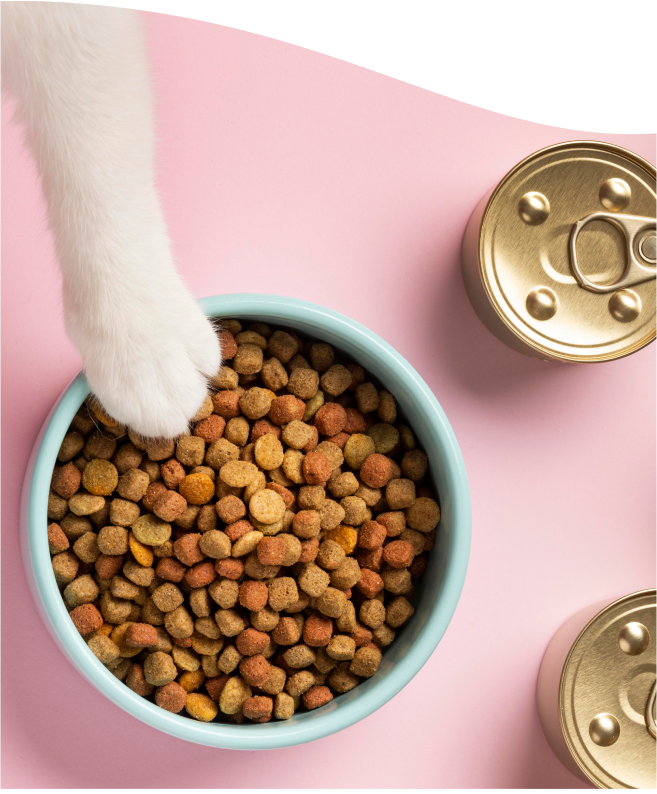 A white cat paw reaching into its food bowl filled with cat food next to unopened cans on a pink background