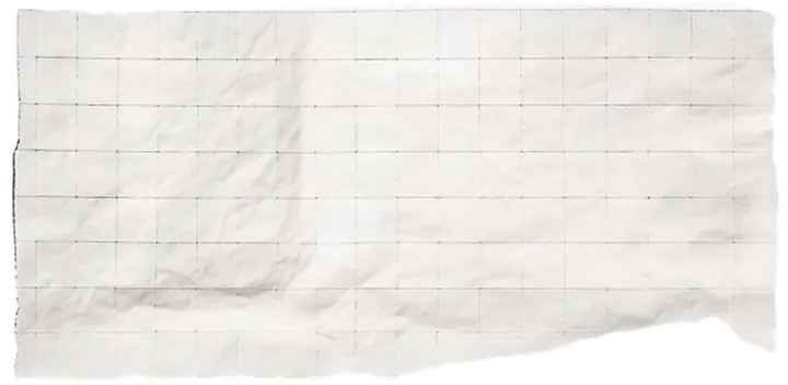 A white crumpled paper sheet with a faint grid of squares.