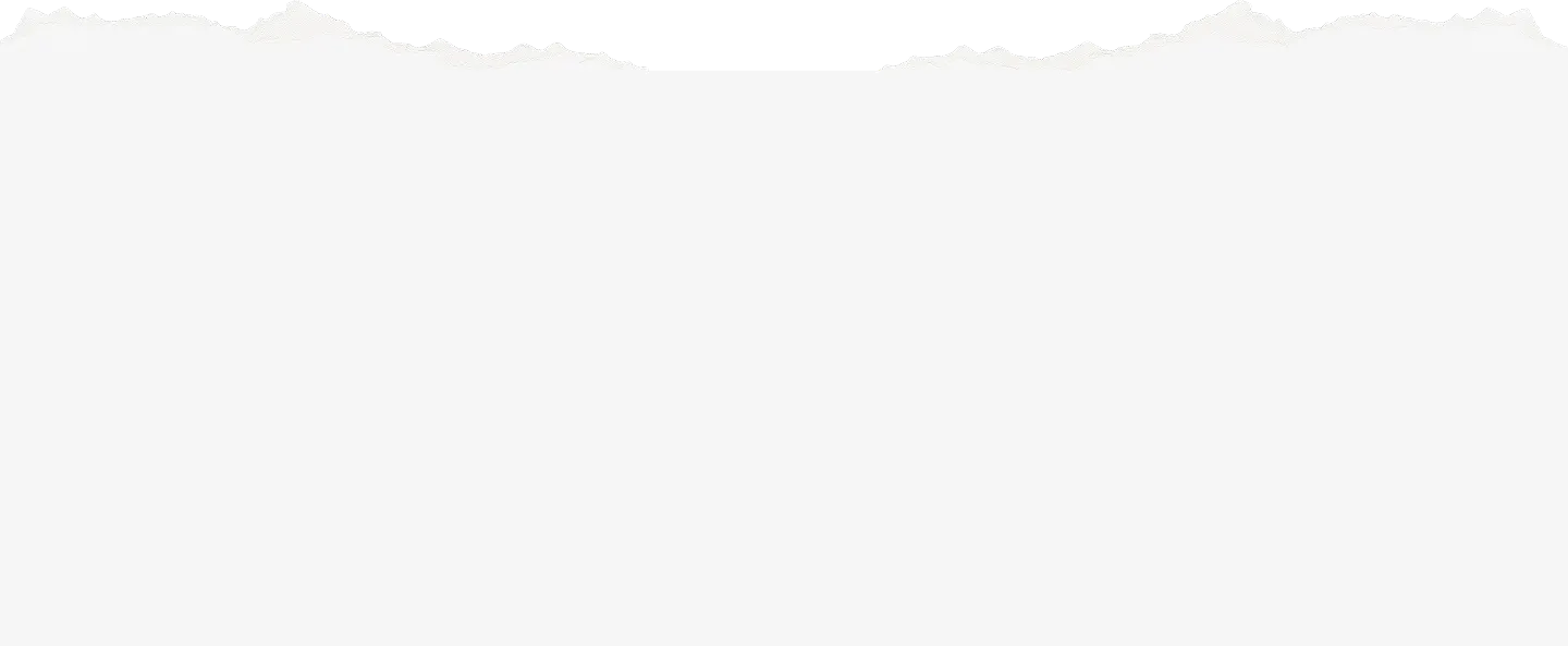 Torn white paper edge over a light gray background.