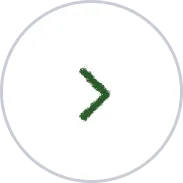 Circular button with a right arrow inside.