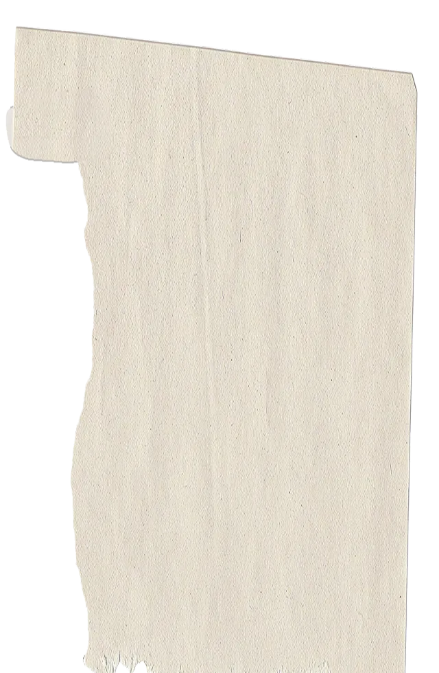 A piece of cream-colored textured paper with irregular torn edges on one side.