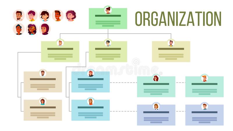 A diagram of organizational structure