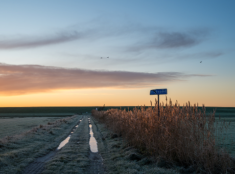 Sfeerbeeld 3