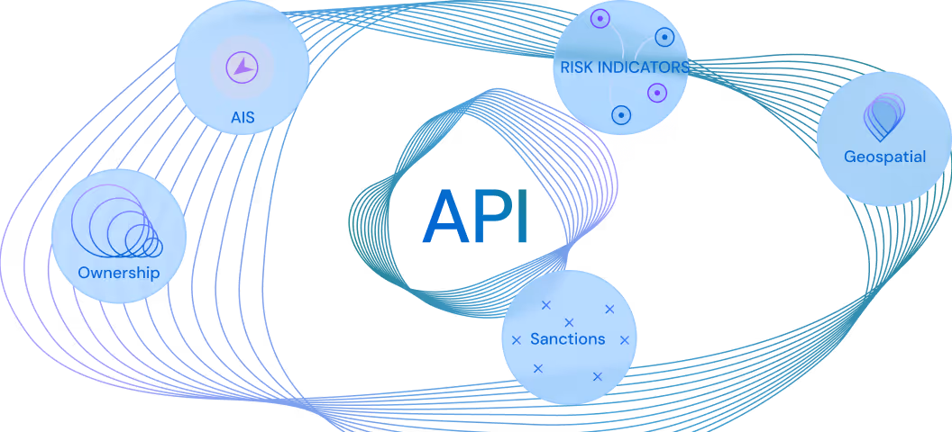 API at center connects circles labeled AIS, Ownership, Risk Indicators, Sanctions, and Geospatial with blue lines.