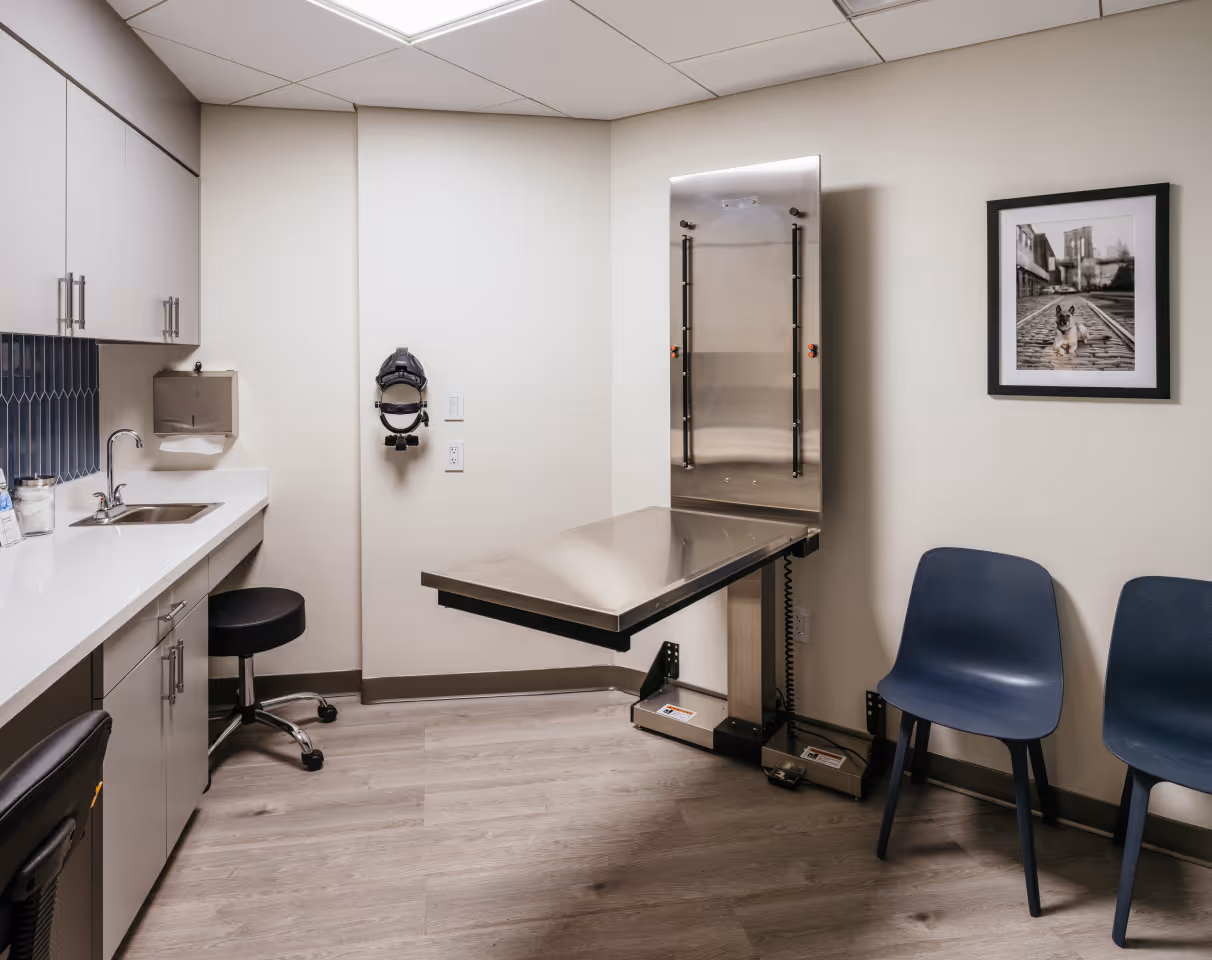 A man and woman in a petting shop, with the woman holding a small dog and the man smiling, are engaged in a gentle interaction, surrounded by a counter with tools and a cabinet, while the dog gazes curiously at the camera.