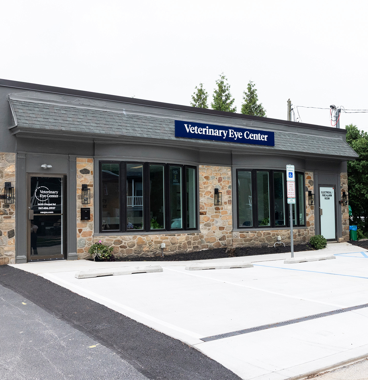 Cat eye exam at Veterinary Eye Center PA