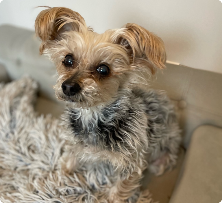 Shea - After Treatment