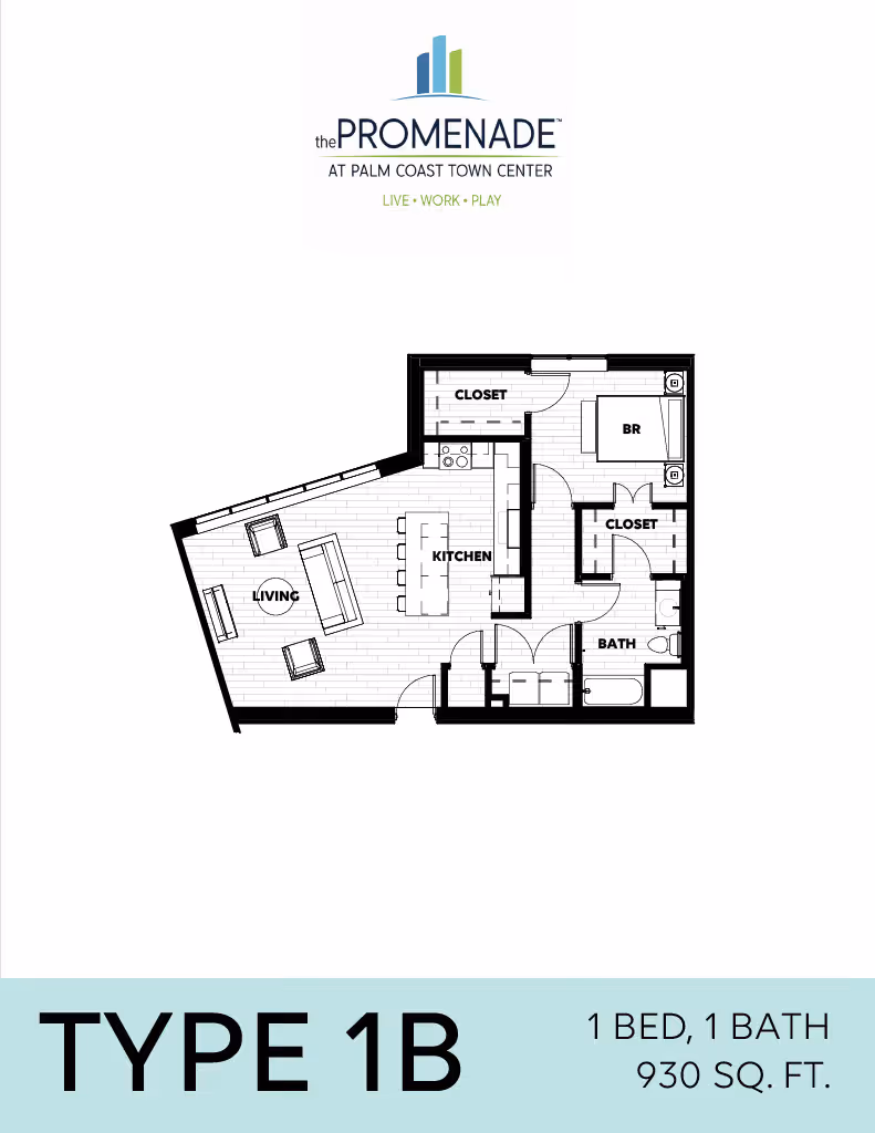 1B image