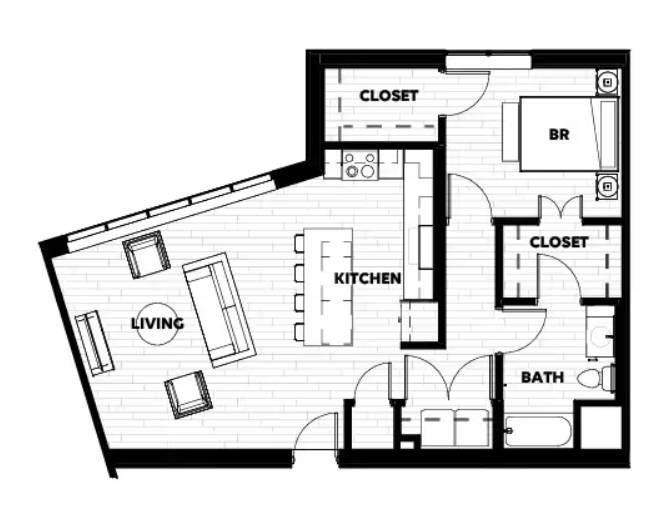 1B image