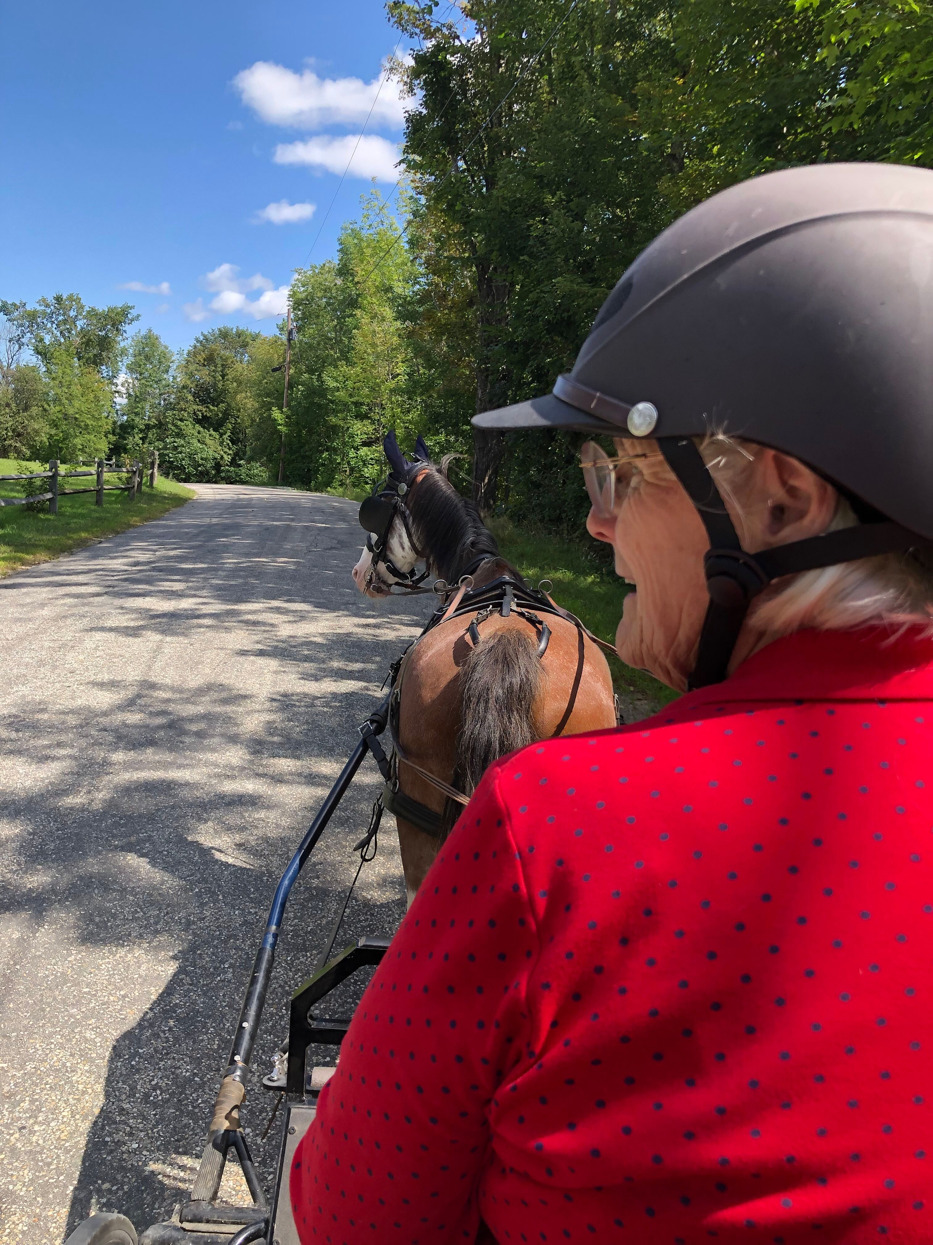 Taking a lovely carriage ride