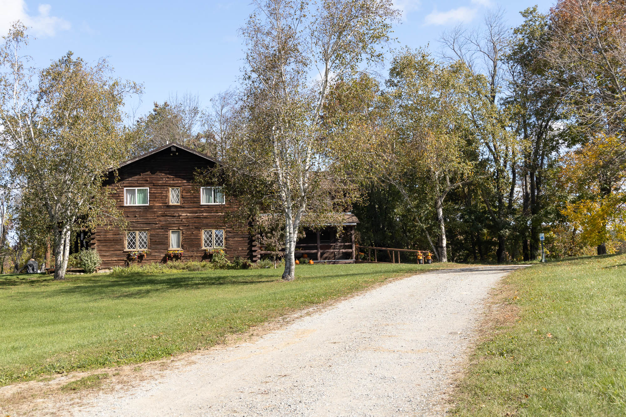 Outside view of our Lodge surrounded by wonderful birches