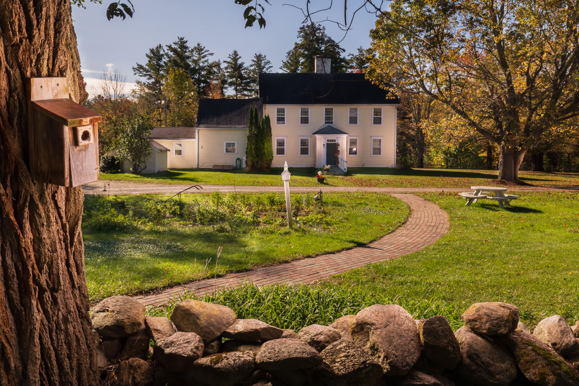 The changing leaves make the Homestead extra special in the Fall sunshine