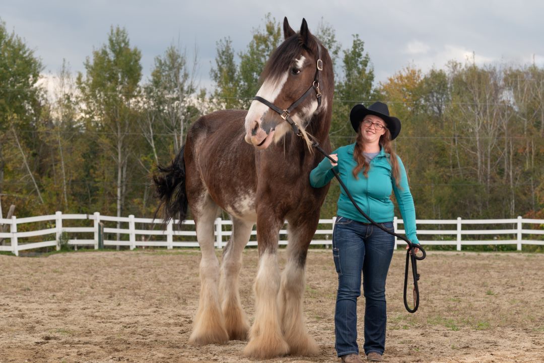One of our boarded horses; Danny