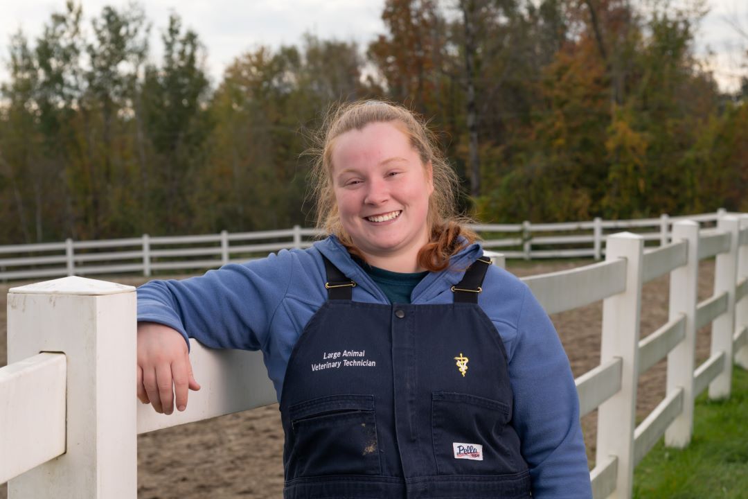 Along with our vet, we have a vet tech who is here to make sure your horses are happy and healthy