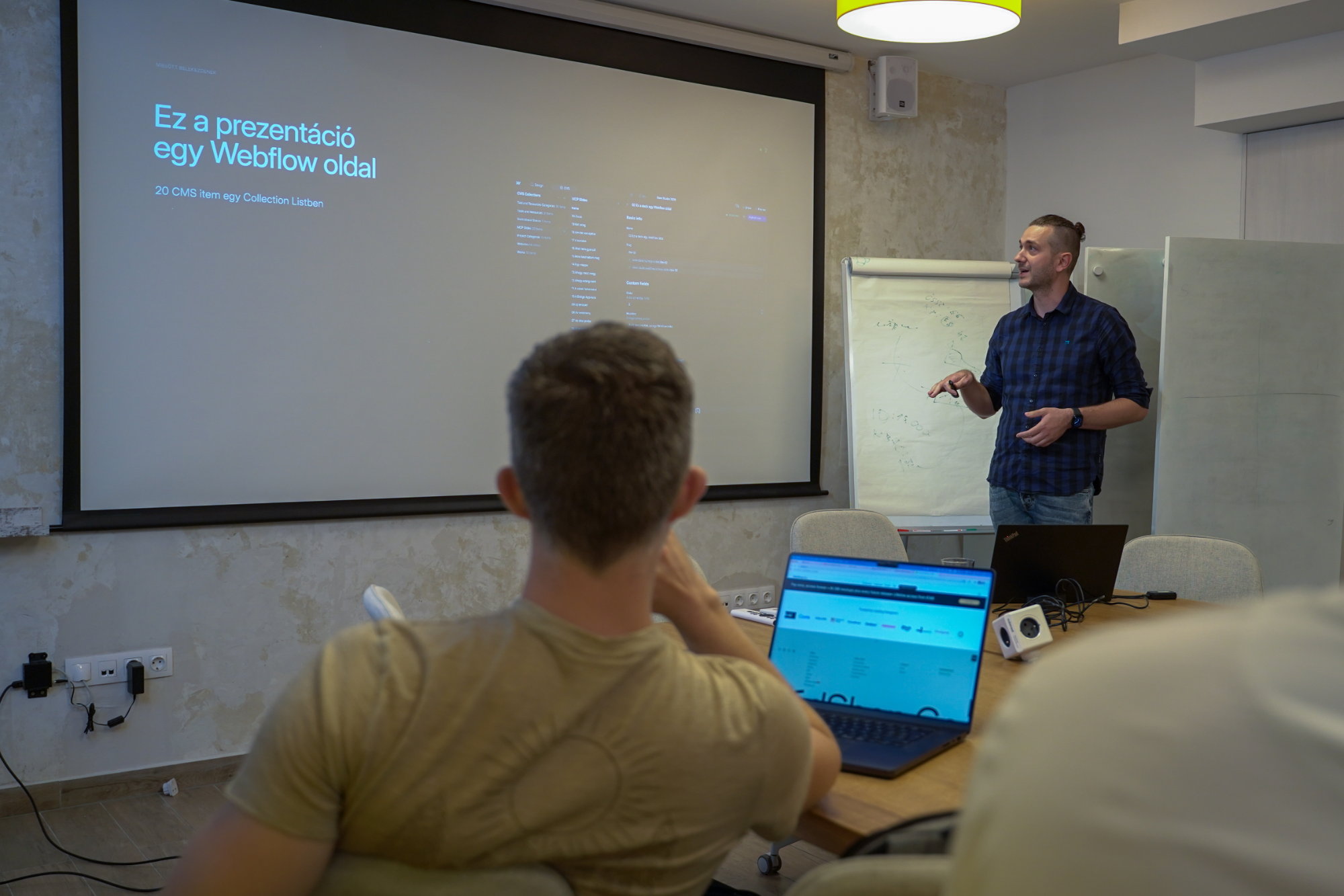 Person presenting before a canvas, standing up.
