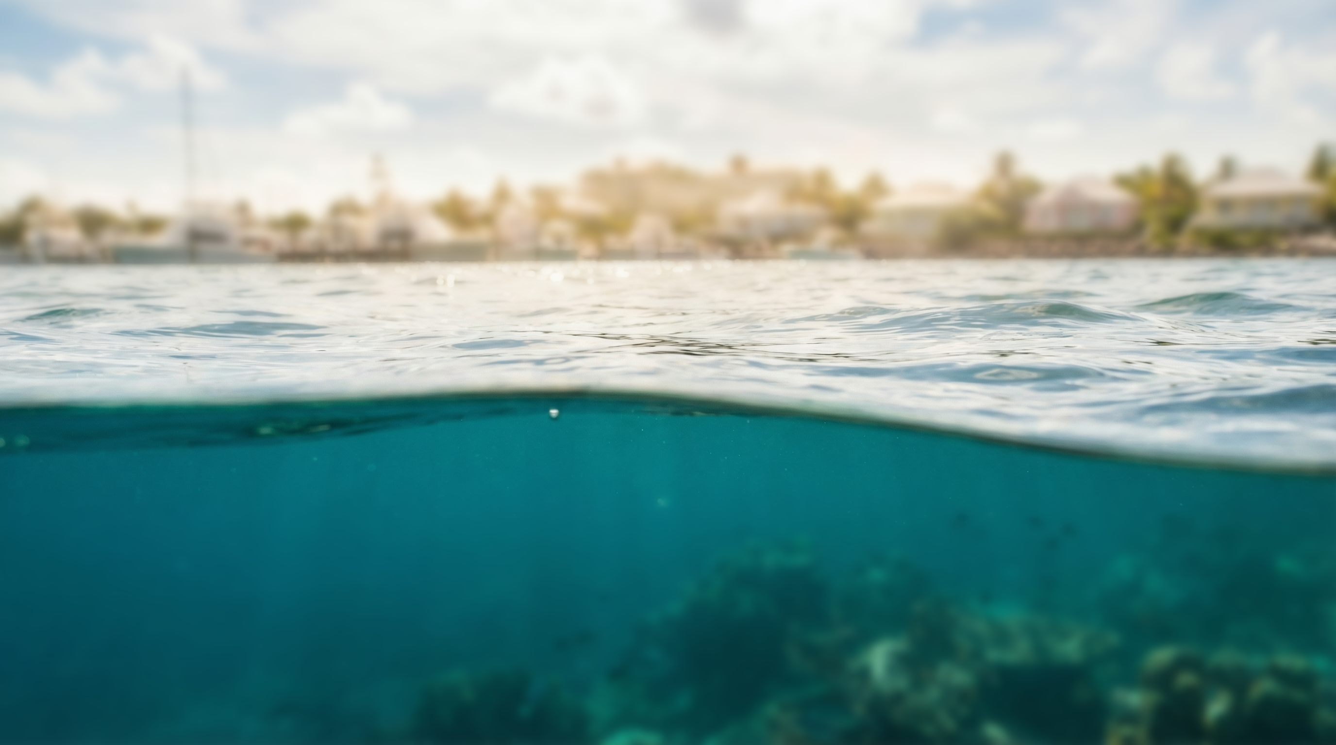 Split view showing clear ocean water with coral below and a blurred coastal town with buildings and palm trees above.