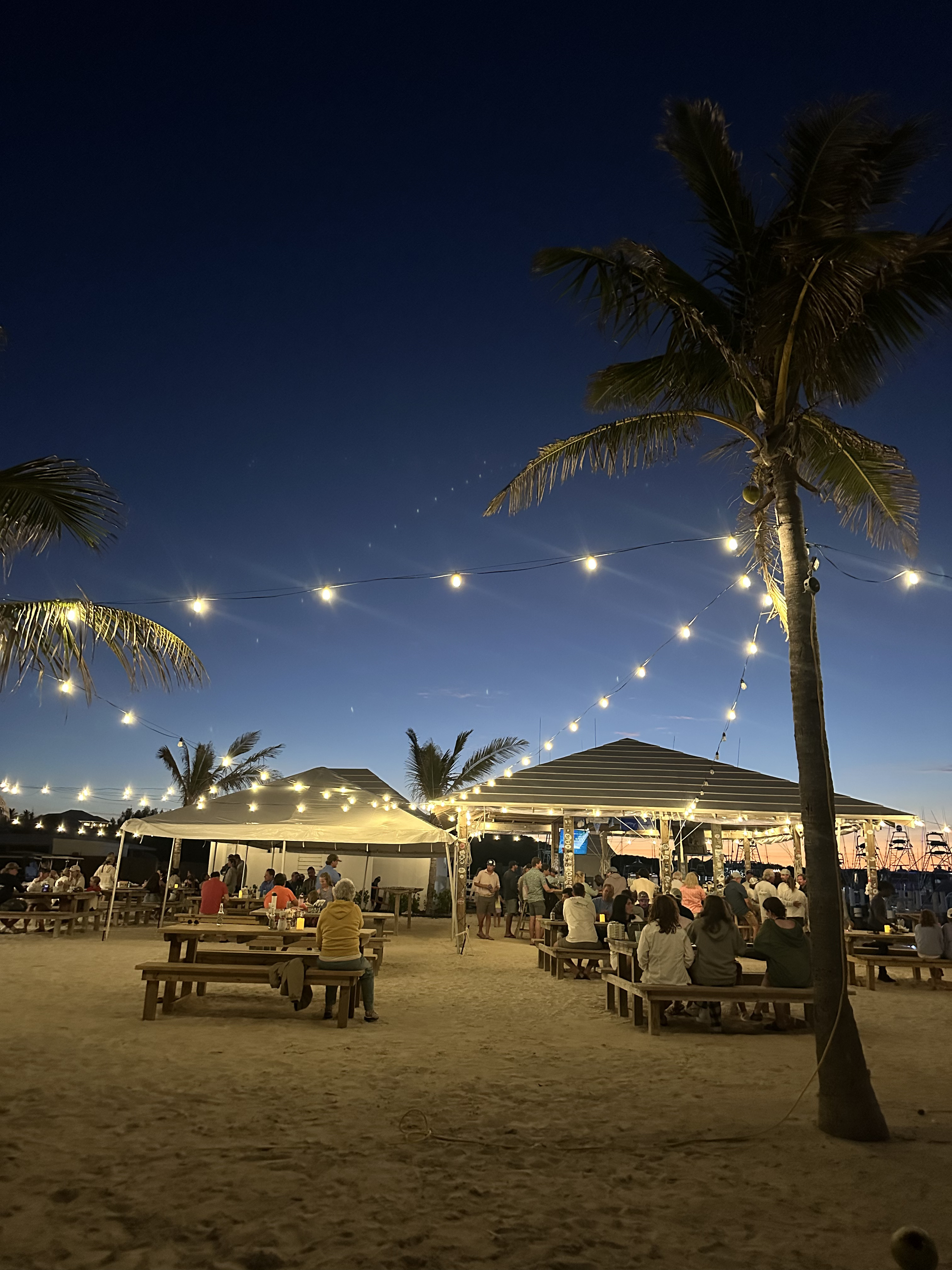 Beachside outdoor dining area at dusk with string lights, palm trees, and people seated on wooden benches under tents.