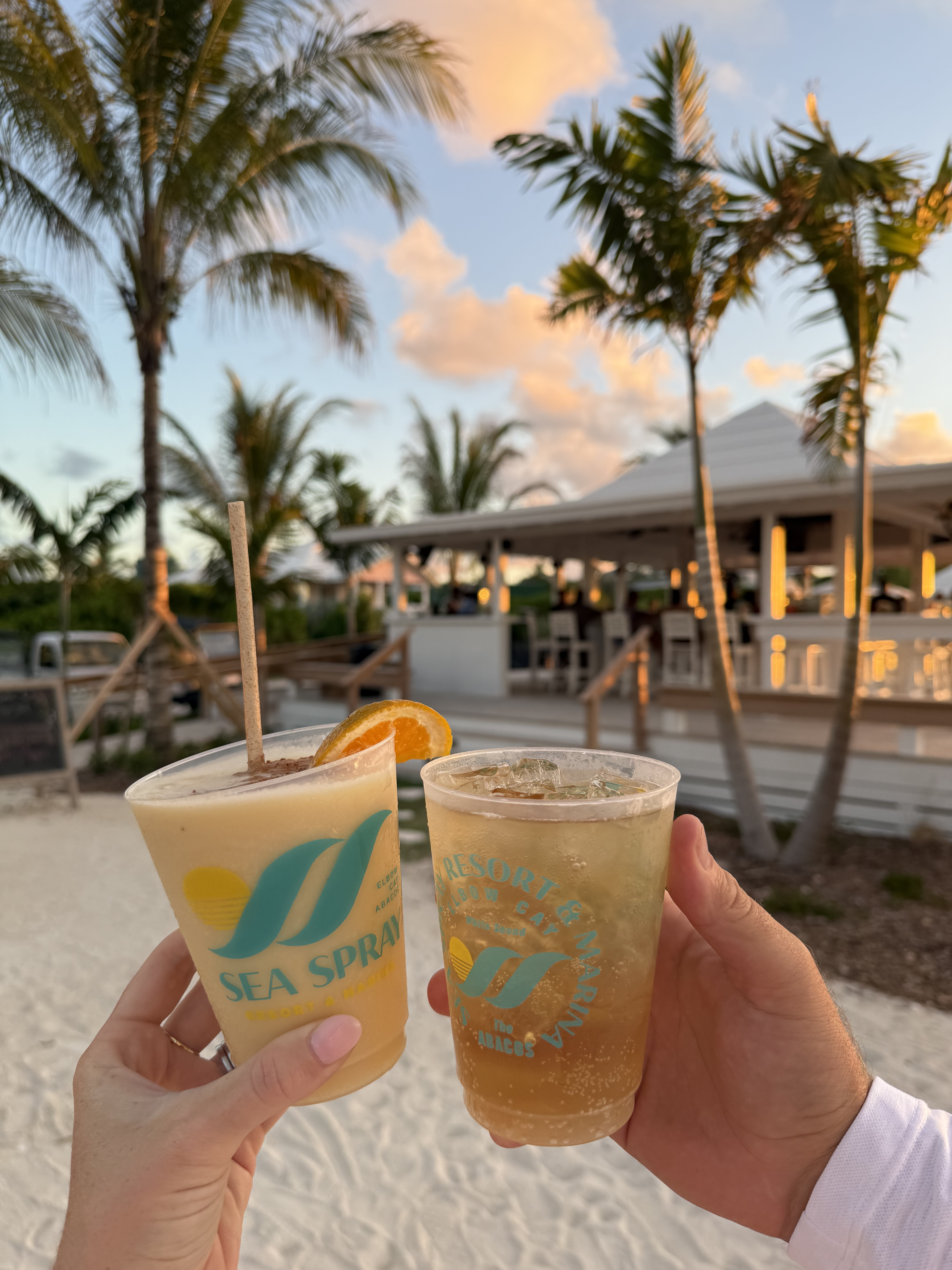 Boats docked at marina piers with palm trees and calm water under a golden sunset sky.