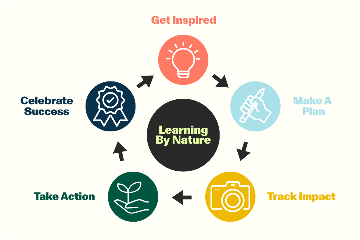 How Learning by Nature works