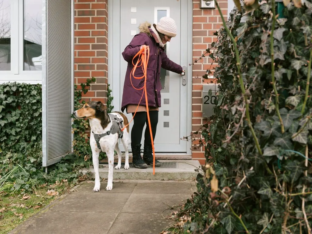 blog img dogwalker