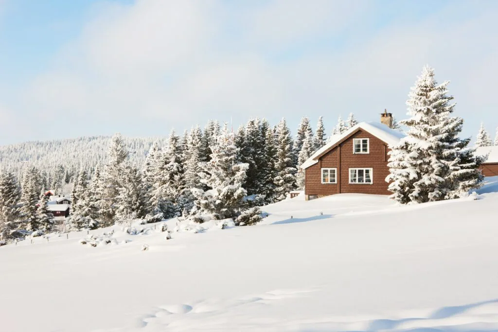 /resource/article/airbnb-horror-stories-and-how-to-avoid-them/