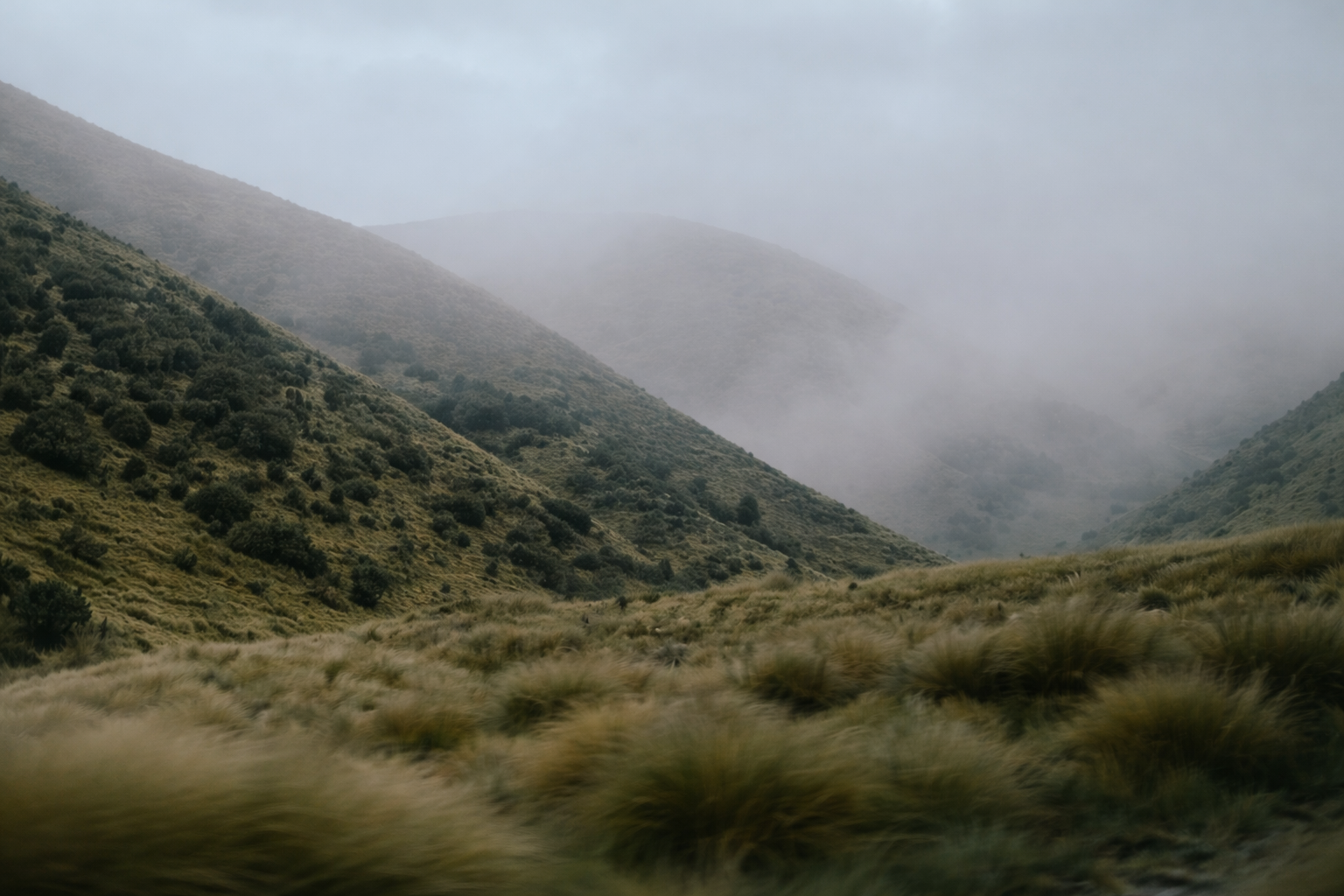 image of patient consultation (for a dental office)