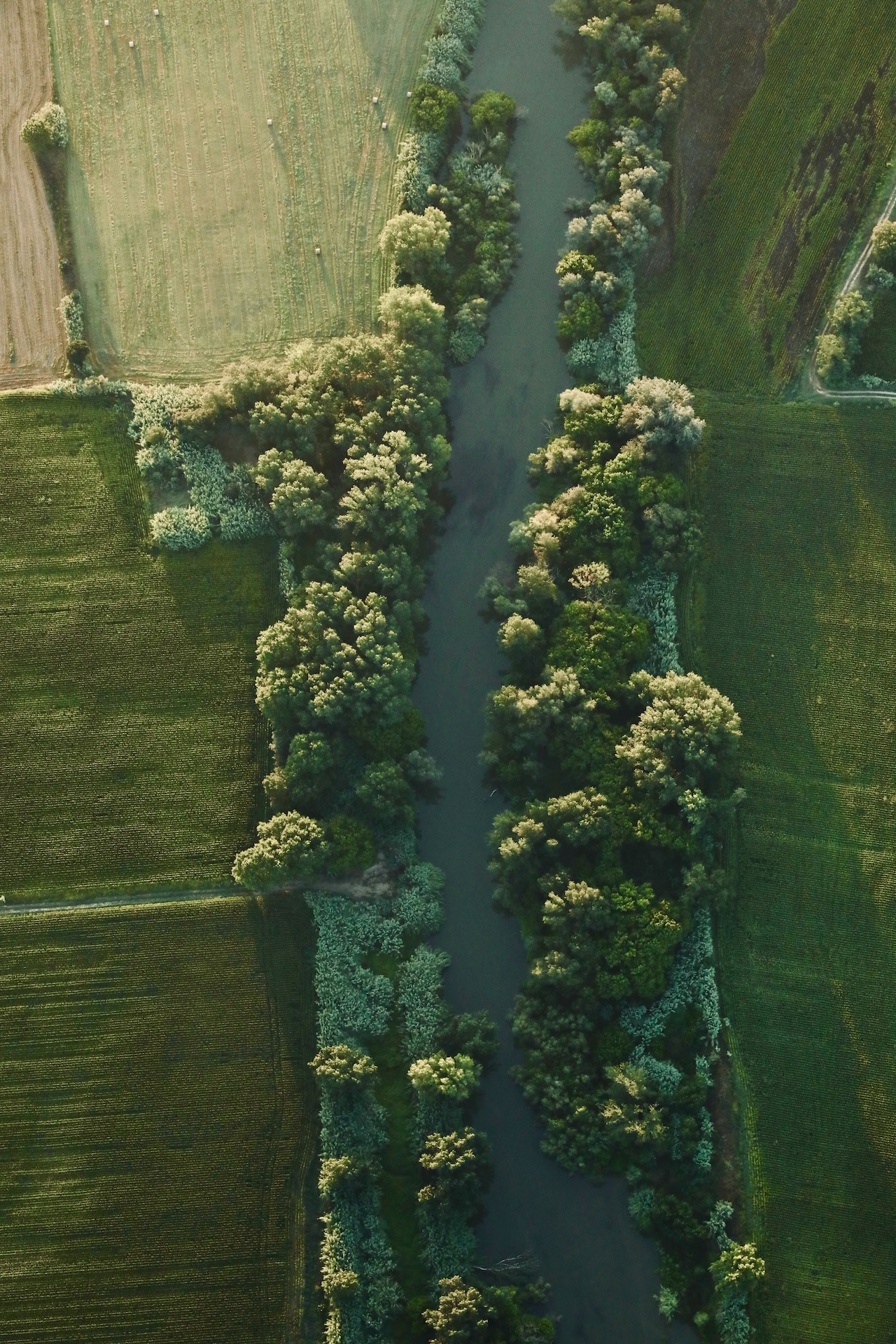 image of augmented reality integration for an architecture firm