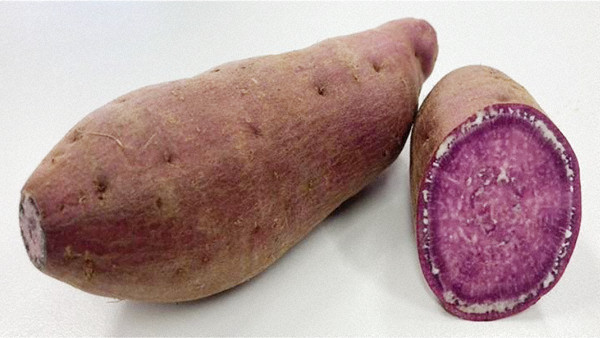 Ｈａｉ－Ｓａｉすいーと