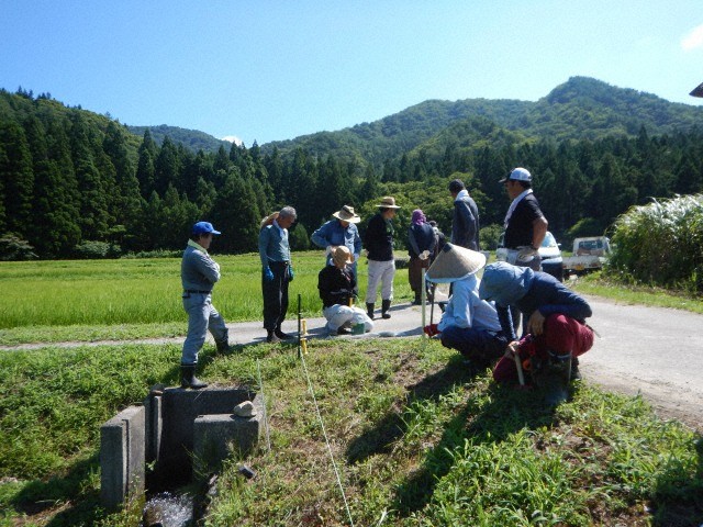 電気柵設置の作業中